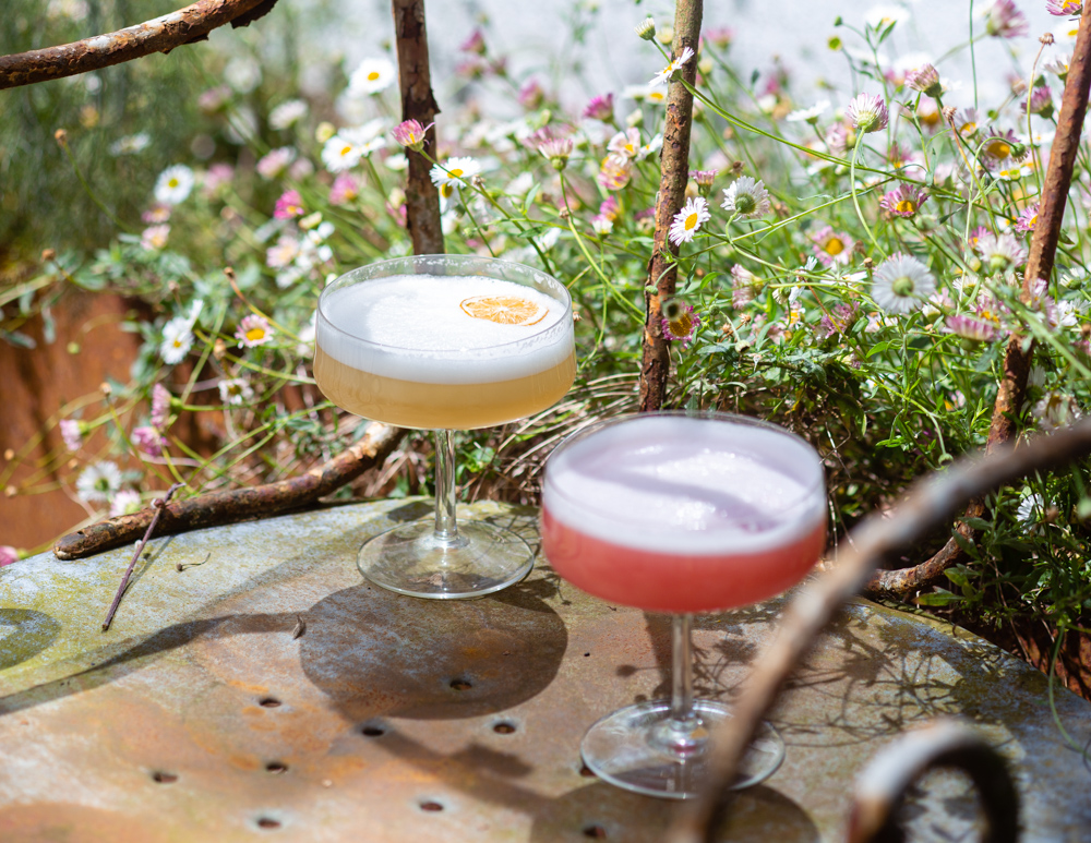 2 whisky sour glass on a rusted chair next to a bed of spring flowers